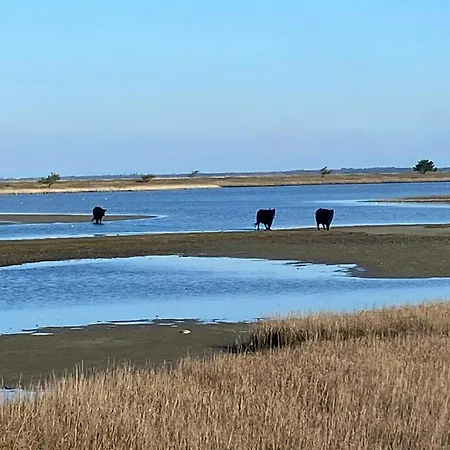 By Sejero Bay With Natural Plot Feriehus Højby