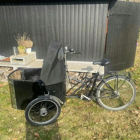 By Sejero Bay With Natural Plot *