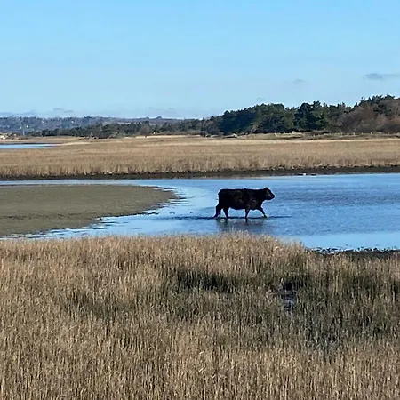 By Sejero Bay With Natural Plot