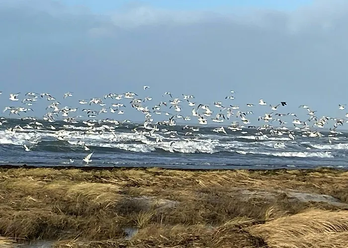 By Sejero Bay With Natural Plot *